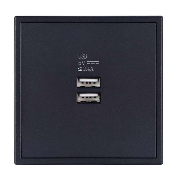 Tile Dual USB Charger Wall Outlet ( ash gray ) (KNX)