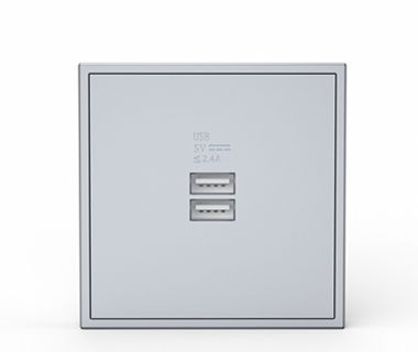 Tile Dual USB Charger Wall Outle-( space gray)(Buspro)